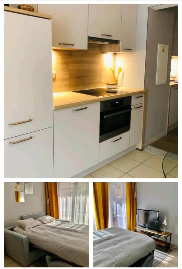 Studio Διαμέρισμα Nieuwpoort Εξωτερικό φωτογραφία